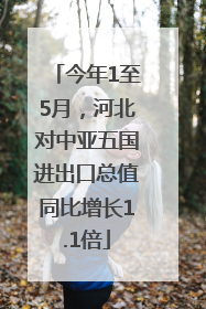 今年1至5月，河北对中亚五国进出口总值同比增长1.1倍