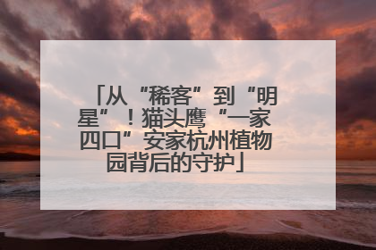 从“稀客”到“明星”！猫头鹰“一家四口”安家杭州植物园背后的守护