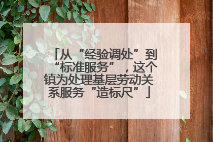 从“经验调处”到“标准服务”，这个镇为处理基层劳动关系服务“造标尺”