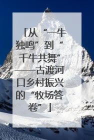从“一牛独鸣”到“千牛共舞”——古渡河口乡村振兴的“牧场答卷”