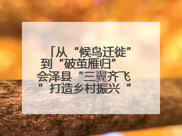 从“候鸟迁徙”到“破茧雁归” 会泽县“三翼齐飞”打造乡村振兴“创业雁阵”