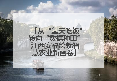 从“靠天吃饭”转向“数据种田” 江西安福绘就智慧农业新画卷