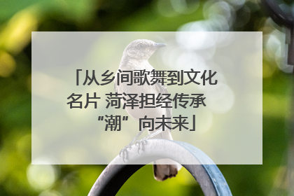 从乡间歌舞到文化名片 菏泽担经传承“潮”向未来