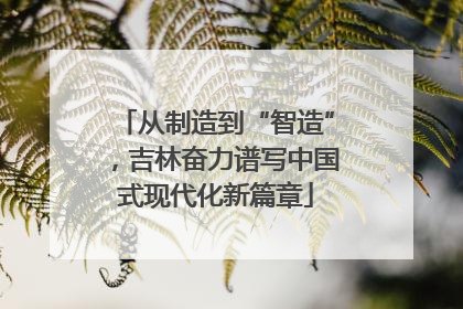 从制造到“智造”，吉林奋力谱写中国式现代化新篇章