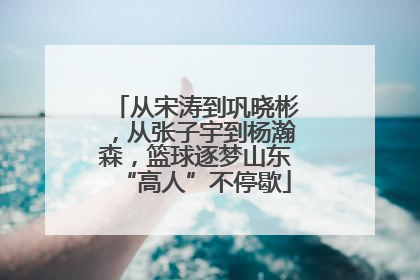 从宋涛到巩晓彬，从张子宇到杨瀚森，篮球逐梦山东“高人”不停歇