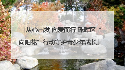 从心出发 向爱而行 珠晖区“向阳花”行动守护青少年成长