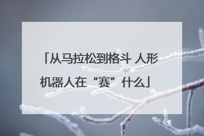 从马拉松到格斗 人形机器人在“赛”什么