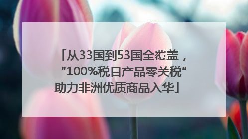 从33国到53国全覆盖，“100%税目产品零关税”助力非洲优质商品入华