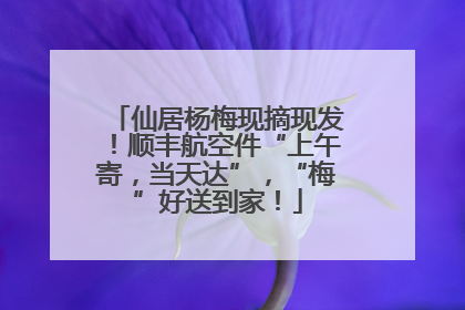 仙居杨梅现摘现发！顺丰航空件“上午寄，当天达”，“梅”好送到家！