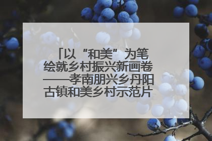 以“和美”为笔 绘就乡村振兴新画卷——孝南朋兴乡丹阳古镇和美乡村示范片区建设综述