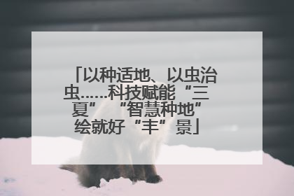 以种适地、以虫治虫……科技赋能“三夏” “智慧种地”绘就好“丰”景