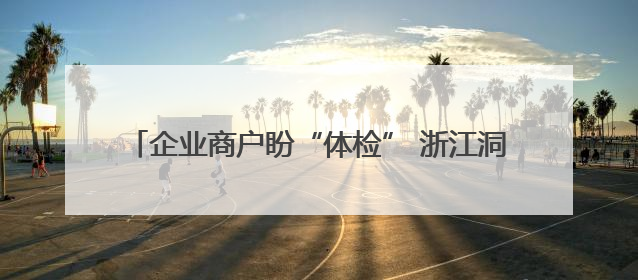 企业商户盼“体检” 浙江洞头预检服务颠覆传统市场监管