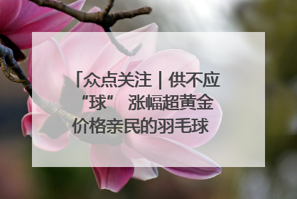 众点关注｜供不应“球” 涨幅超黄金 价格亲民的羽毛球为何身价飞涨？