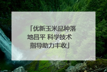 优新玉米品种落地昌平 科学技术指导助力丰收