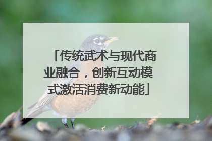传统武术与现代商业融合，创新互动模式激活消费新动能