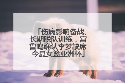 伤病影响备战、长期脱队训练，宫鲁鸣确认李梦缺席今夏女篮亚洲杯