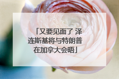 又要见面了 泽连斯基将与特朗普在加拿大会晤
