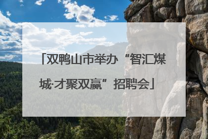 双鸭山市举办“智汇煤城·才聚双赢”招聘会
