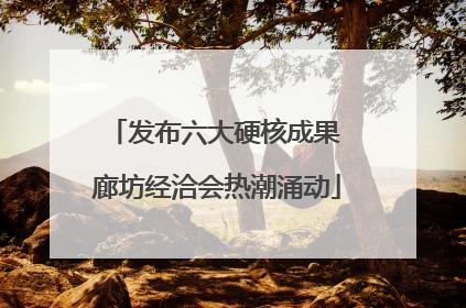 发布六大硬核成果 廊坊经洽会热潮涌动