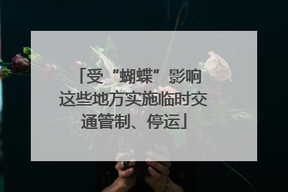 受“蝴蝶”影响 这些地方实施临时交通管制、停运