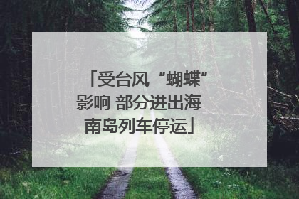 受台风“蝴蝶”影响 部分进出海南岛列车停运