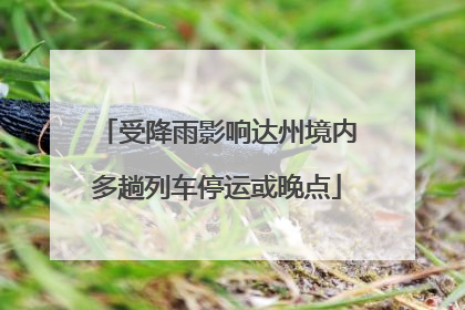 受降雨影响达州境内多趟列车停运或晚点