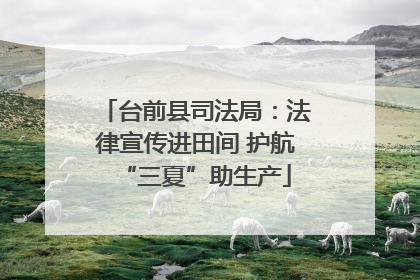 台前县司法局：法律宣传进田间 护航“三夏”助生产