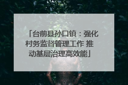 台前县孙口镇：强化村务监督管理工作 推动基层治理高效能