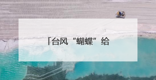 台风“蝴蝶”给海南带来强风雨