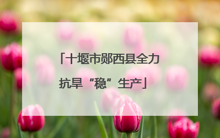 十堰市郧西县全力抗旱“稳”生产