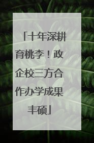 十年深耕育桃李！政企校三方合作办学成果丰硕