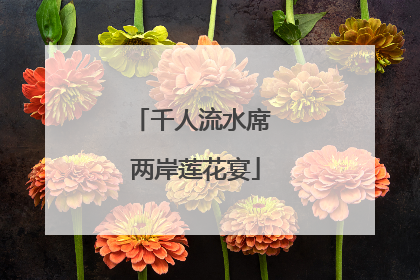 千人流水席 两岸莲花宴