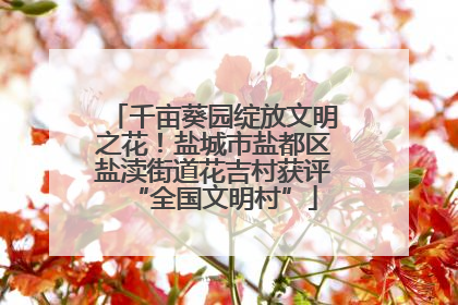 千亩葵园绽放文明之花！盐城市盐都区盐渎街道花吉村获评“全国文明村”
