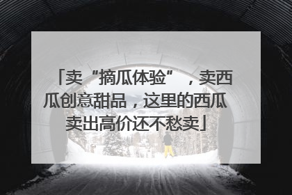 卖“摘瓜体验”，卖西瓜创意甜品，这里的西瓜卖出高价还不愁卖