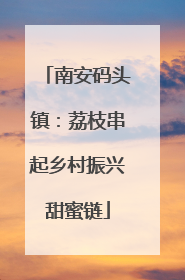南安码头镇：荔枝串起乡村振兴甜蜜链