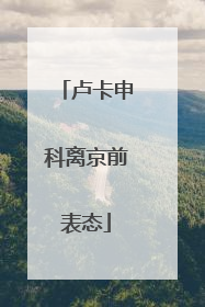 卢卡申科离京前表态