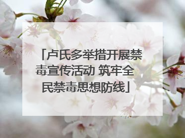 卢氏多举措开展禁毒宣传活动 筑牢全民禁毒思想防线