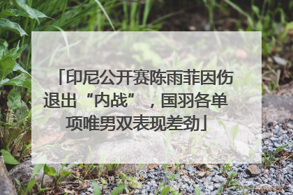 印尼公开赛陈雨菲因伤退出“内战”，国羽各单项唯男双表现差劲
