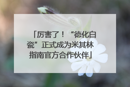 厉害了！“德化白瓷”正式成为米其林指南官方合作伙伴