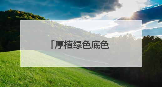 厚植绿色底色 共建美丽家园——新区生态文明建设成效显著