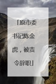 原市委书记陈金虎，被责令辞职