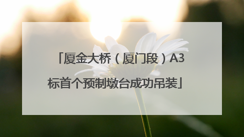 厦金大桥（厦门段）A3标首个预制墩台成功吊装