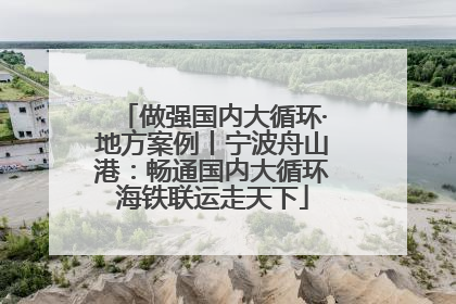 做强国内大循环·地方案例丨宁波舟山港：畅通国内大循环海铁联运走天下