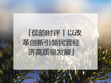 儒韵时评丨以改革创新引领民营经济高质量发展