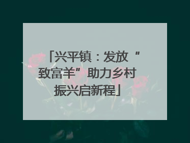 兴平镇：发放“致富羊”助力乡村振兴启新程
