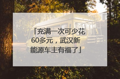 充满一次可少花60多元，武汉新能源车主有福了