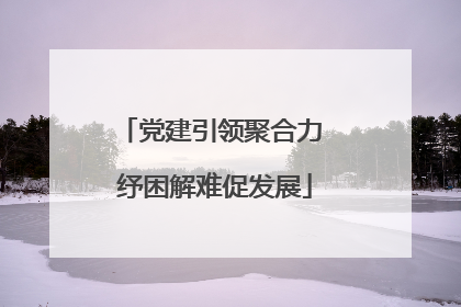 党建引领聚合力 纾困解难促发展