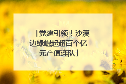 党建引领！沙漠边缘崛起超百个亿元产值连队