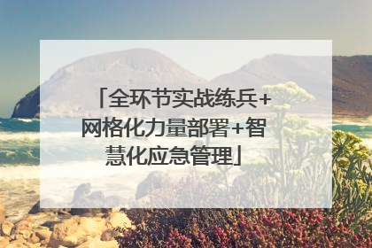 全环节实战练兵+网格化力量部署+智慧化应急管理