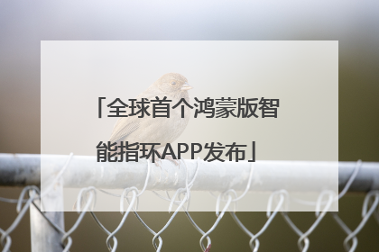 全球首个鸿蒙版智能指环APP发布